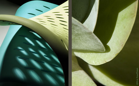 Product photographer highlights curves, lines and textures of a plastic chair compared to the botanical photo of the leaves of a Kalanchoe in these abstract product photographs created by Kim Kauffman.