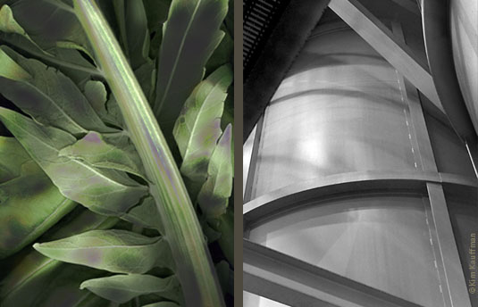 The architectural leaves of Synara (Cardoon) are juxtaposed to an abstract industrial photograph designed by photographer Kim Kauffman.