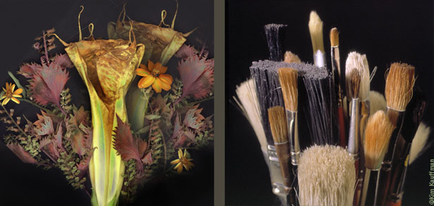 Two photos that examine the affinity between a bouquet of flowers and an arrangement of paint brushes by studio  still life and botanical photographer Kim Kauffman.