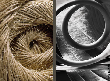Two still life photos that study the parallels in form and texture between a ball of twine and a leaf with the stem curl of serpent garlic by still life photographer Kim Kauffman.